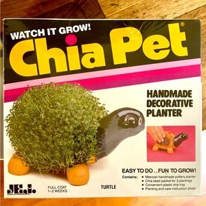 Vintage turtle chia pet